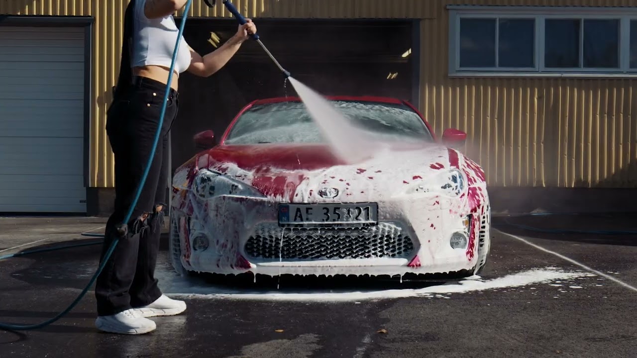 Maxxol Insect Remover