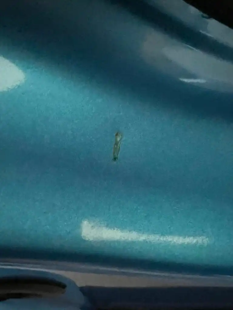 Image #1 from steinar myhrvold