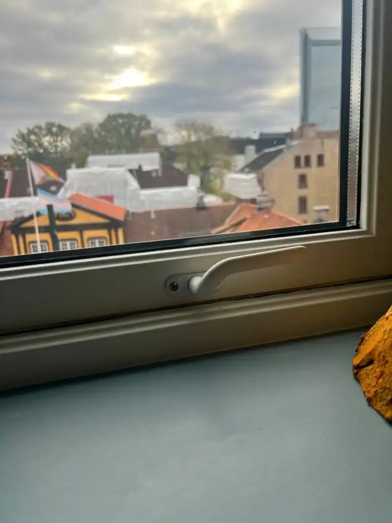 Image #1 from Vigdis E.